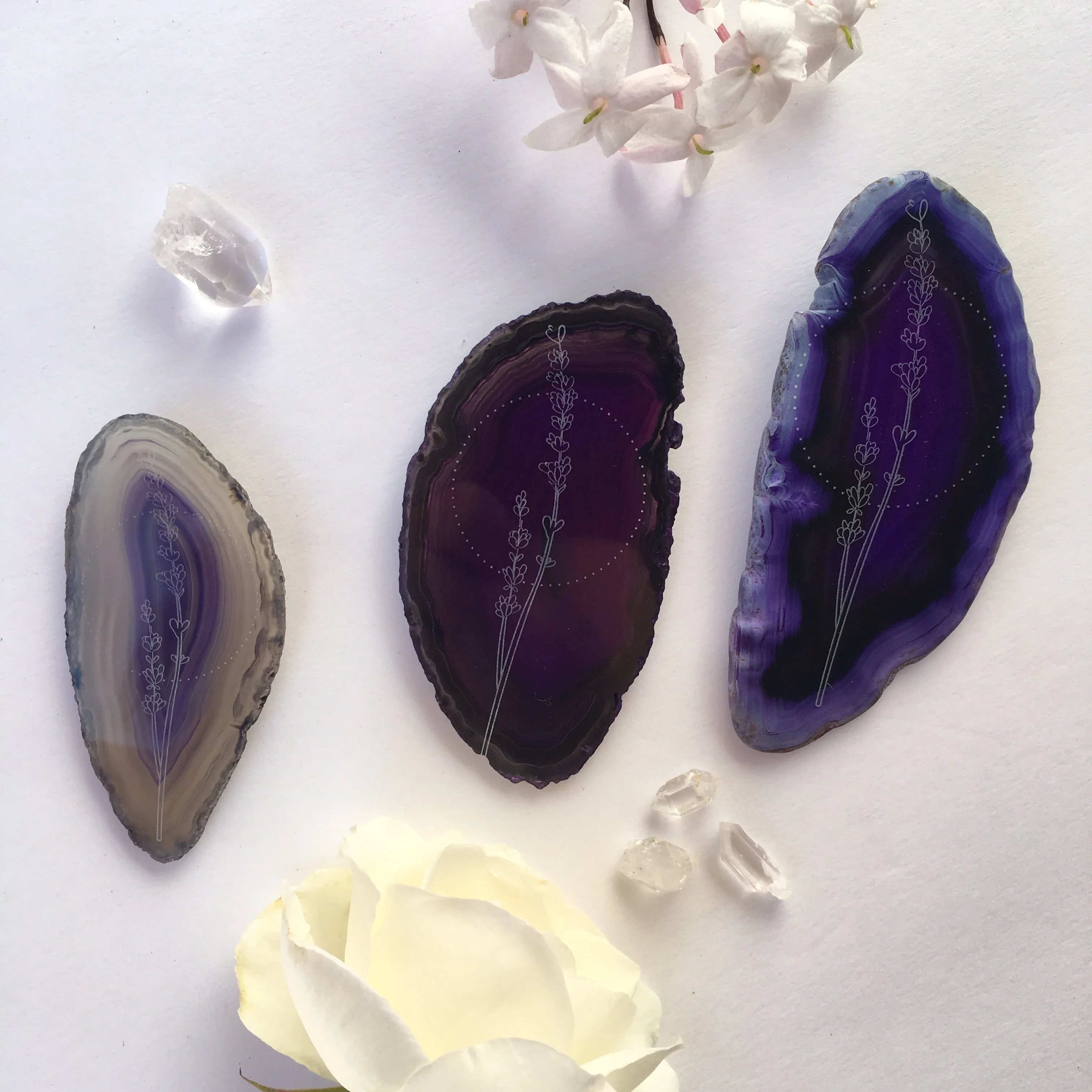 Lavender Dreams Lavender Flower Agate Slices - Flower Essence Collection