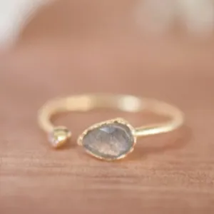 Pietra Adjustable Ring- Gold Vermeil/Labradorite